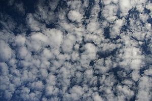 Altocumulus