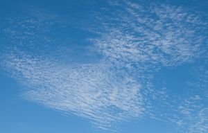 Cirrocumulus