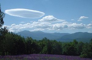 Lenticular